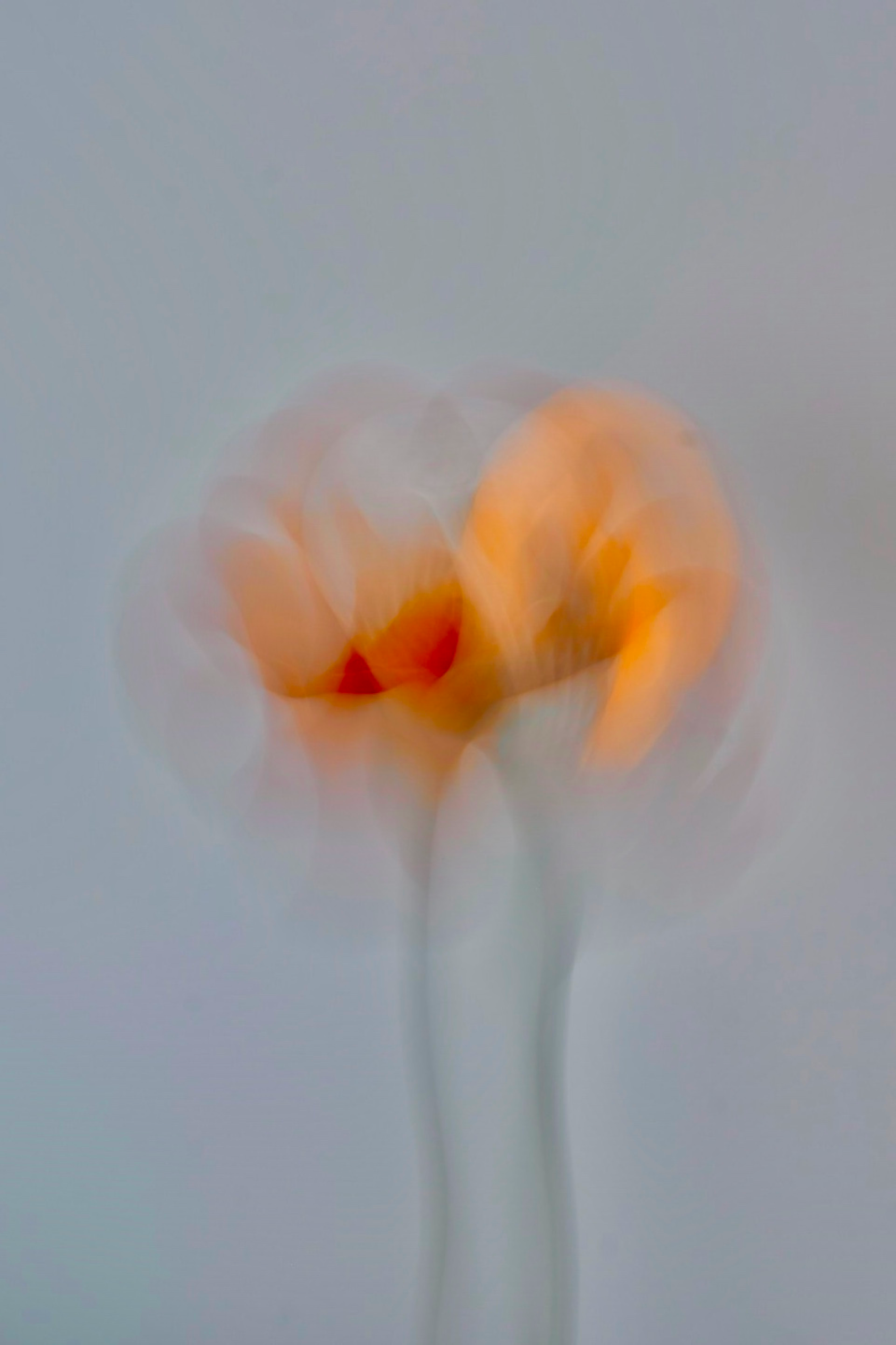 Abstract photograph 7